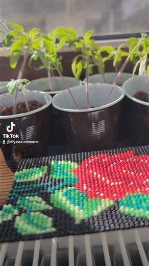 #cetera #violin #oas #handmade #modelpdf