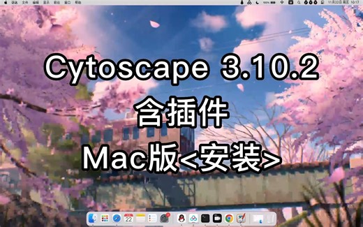 Cytoscape 3.10.2 for mac安装全过程详解