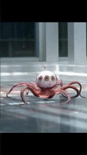 SHEEP EYE TAKEOVER! Alien Parasite Controls Flock 🐑《Alien: Earth》#bodyhorror #alien #shorts