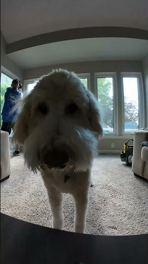 WeatherGard windows are built for Michigan's unique climate, and backed with a lifetime guarantee.