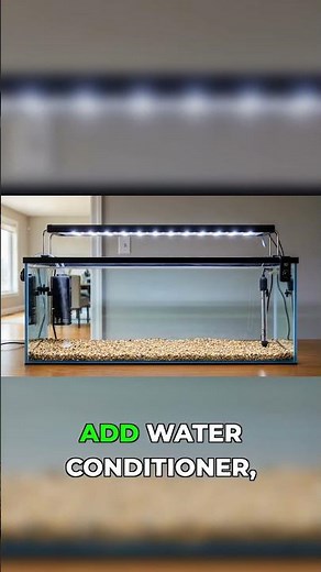 Cycle Your Tank or Regret It #FishTank #AquariumCycle