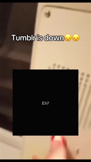 I saw the cutest cat pictures ever and tumblr genuinely kicked me to the curb like im not a day one.. #tumblr