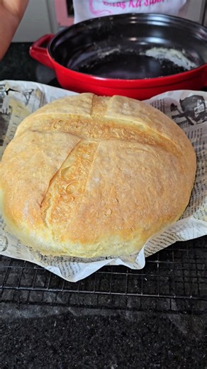 Ka Sandra on Instagram: "🍞 PÃO RÚSTICO ITALIANO DE PADARIA 🇮🇹 🔥 Casca estalando, miolo macio e aquele visual artesanal que conquista no primeiro corte! 📝 Ingredientes • 500 g de água 💧 • 5 g de fermento biológico seco • 5 g de açúcar (1 colher de chá) • 500 g de farinha de trigo peneirada 🌾 (adicionada aos poucos) • 5 g de sal 🧂 (1 colher de chá) ⸻ ⚠️ Segredo da casca crocante 👉 Coloque uma assadeira com água fervendo dentro do forno durante o pré-aquecimento. O vapor é essencial para f