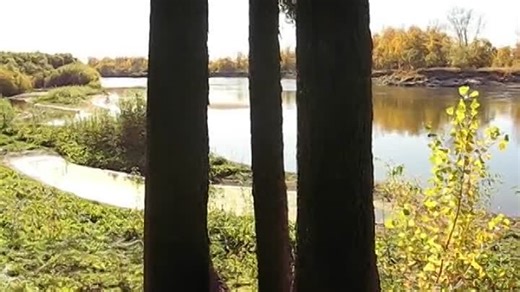 Видео Прибрежность | OK.RU