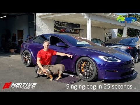 Custom Mod Tesla Model S PLAID - N2itive Lowering Links/Biggest Tires Possible!