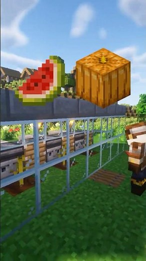 Easy automatic melon and pumpkin farm in Minecraft! 🌱🍉 #minecraft #tutorial #minecraftfarm