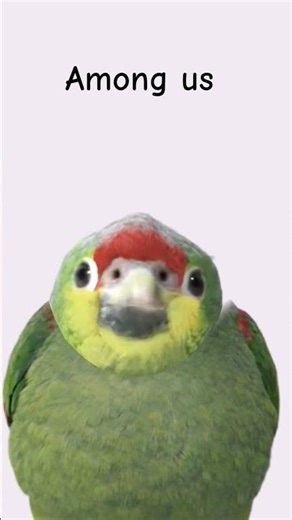 среди нас among us #memes