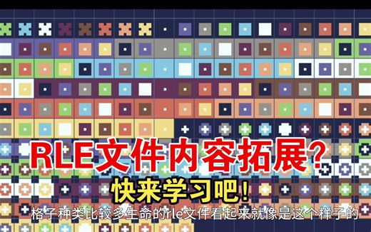 【计算机生命】RLE文件内容拓展！看看更乱的乱码到底是怎么回事吧！