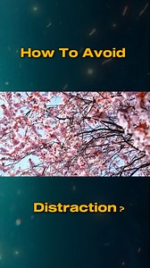 9.3K views · 365 reactions | How To Avoid Distraction | Hisham Sarwar | Facebook