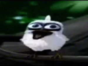 Bird screaming meme 1 hour