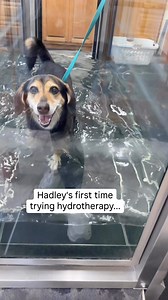 2.3K reactions · 28 shares | Hadley's first time trying...