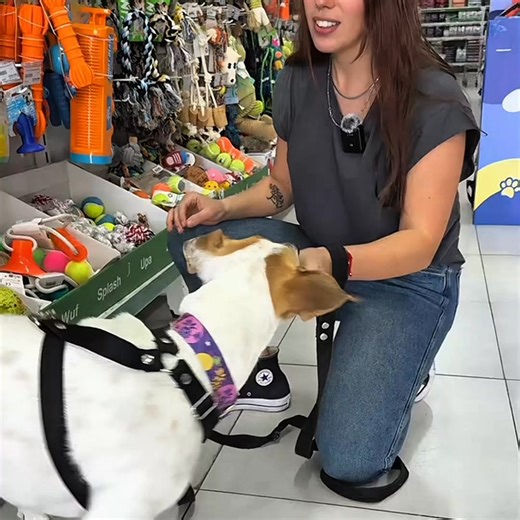 En Puppis tenemos muchos beneficios para vos y tu ami 🐶😺 ✅ Promociones Bancarias ✅ Descuentos en Seleccionados ✅ Ofertas IMPERDIBLES Ingresá al sitio y llevate sus favoritos 😉 | Puppis Argentina