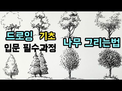 [Pen Drawing] How to Draw a Tree/Basic Line Practice