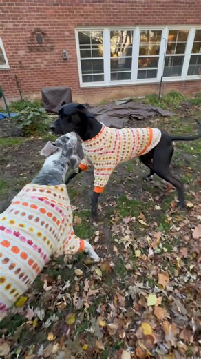 6.5K views · 1K reactions | Auntie Rose from tiny_and_mini made us...