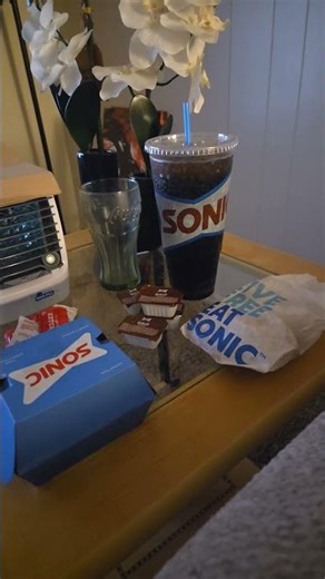My dinner from sonic 2