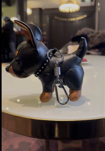 Discover the Perfect Doggo with Unique Attributes