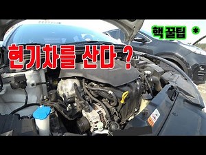 현대차 사실분들은 반드시 공부하세요 [ GDI불량 VS GDI ]