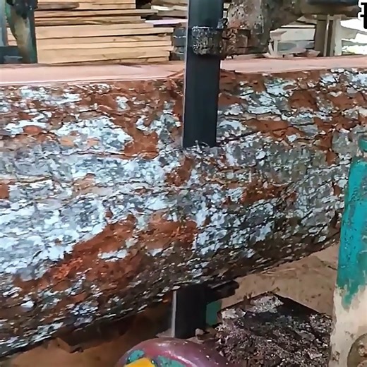 At the sawmill, a massive log is carefully sawn into high-quality solid wood planks. Each cut reveals the natural beauty and grain of the wood, ready to be used for fine furniture, flooring, or construction. | Herox7