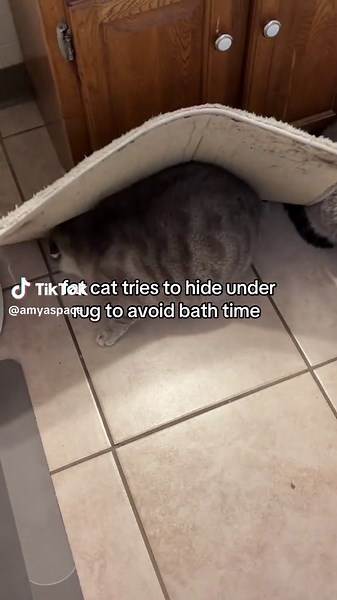 Best Hide and Seek Player OAT!