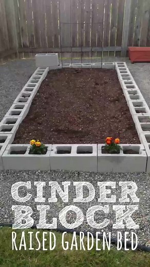 Creative Ideas for Garden Beds with Concrete Blocks