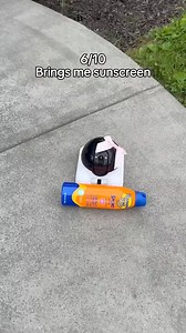 703K views · 11K reactions | He’s too funny with this robot 藍#longdistance #couples #tinyrobot #longdistancerelationship #funny | Romi Pal | Facebook