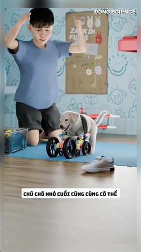 12-Year-Old Boy Builds Lego Car to Rescue Disabled Dog 🧱🐶