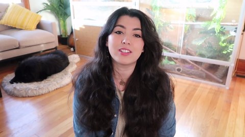 Animal Rights Vs Animal Welfare - What's the difference?