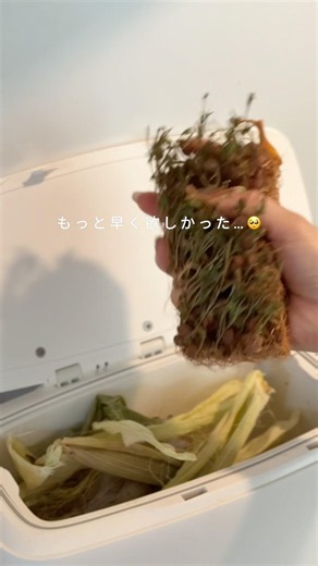 価格も大きさもコンパクトな夏の味方！【生ゴミ乾燥機を導入】