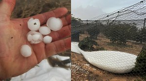 Major clean up for WA Wheatbelt properties after storm damage