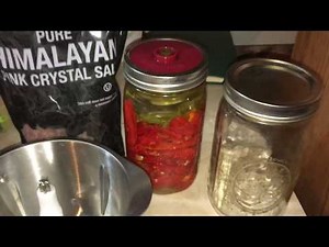 DIY how to ferment peppers (Shishito sauce lacto-ferment)