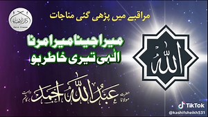 kashif sheikh (@kashifshakh940gmail.com)’s videos with original sound - kashif sheikh