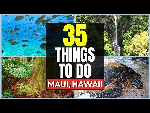 Explore Maui Hawaii: 35 Things to do & places to see on your next trip! Beaches, Hiking, Snorkeling