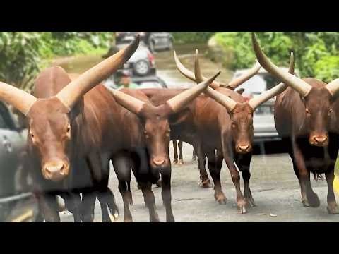 #24 Die besten Videos 2026 || ✪ Stern DuTube