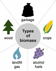 Biomass