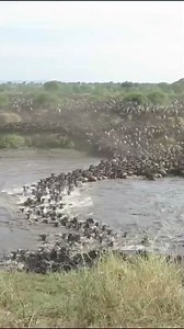 195K views · 7.2K reactions | Subhanallah #islamicquote #royalsindhnews #viralpagevideo #IslamicHistory #viralreel | Royal Sindh News | Facebook