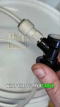 The Art of Cold Crashing and Fining Techniques