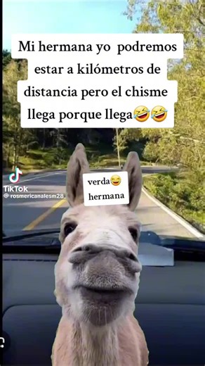 Videos de Maria lucila Quiñones davila (@maria.lucila.quio) con “sonido original - Maria lucila Quiñones davila”
