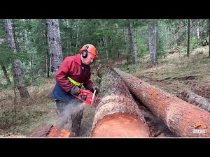 Timber falling legend - testing ported chainsaw and firewood splitting axe