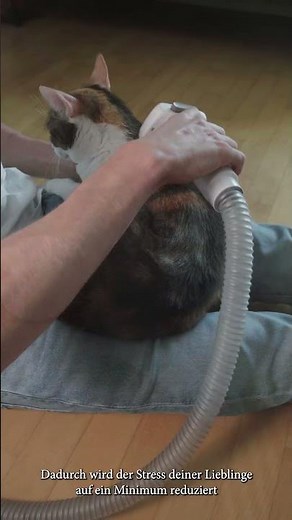 emmi®-pet Grooming Kit Home