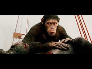 Gorilla (Buck) vs Helicopter Scene | Rise of the Planet of the Apes (2011)