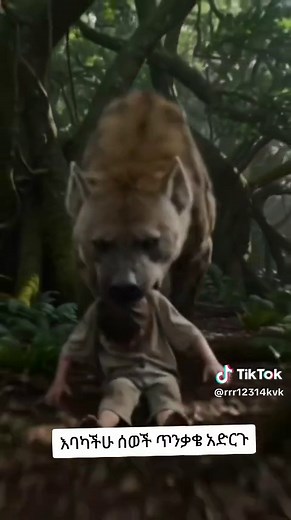 #creatorsearchinsights Titles: Hyena Calls You Must Hear, Fierce Hyena Fight Show, Wild Hyena Moments Unveiled Hashtags: #hyena #wildlife #naturelovers #animalgram Hook: Ever heard a hyena’s eerie call? Stick around to see their wild side! Script: Intro: \tCapture the hyena’s call in a captivating way. \tScript: