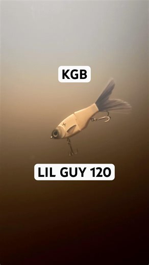 KGB Lil Guy 120 lure at www.charliesfishing.com #lures #lure #bassfishing #predatorfish