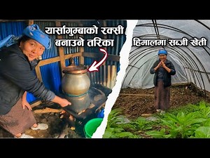 रक्सी बनाउने तरिका पहिलोपटक सार्वजनिक | हिमालमा यस्तो प्रविधिले हुर्काइन्छ ताजा तरकारी