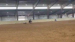 3.2K views · 165 reactions | Free falling 﫠 just another great day in barrel racer land 落 #rodeowrecks @m.adison.lee | Rodeo Wrecks | Facebook
