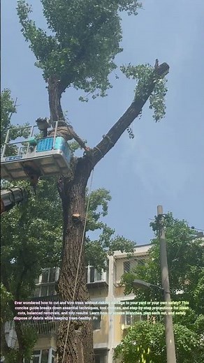 Tree Cutting and Trimming 🌳