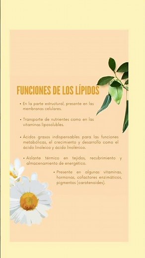 Funciones de los Lípidos 🥛🧀 #alimentos #bioquimica #quimicaorganica #biología #lipidos