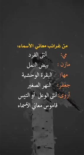 غرائب معاني الأسامي: اكتشف الأسماء ورموزها