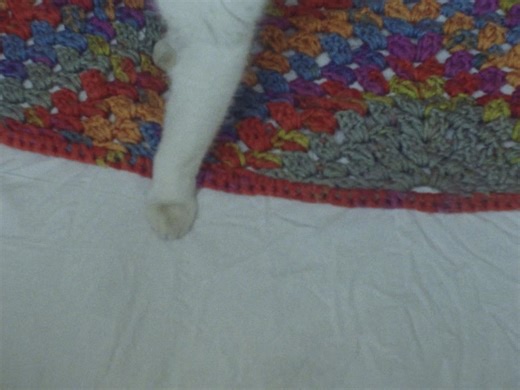 Trailer - HENRY IS A GIRL WHO LIKES TO SLEEP (2026), by Marthe Peters