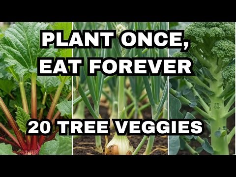 These 20 Vegetables Grow Like Fruit TREES! Plant Once, Eat Forever
