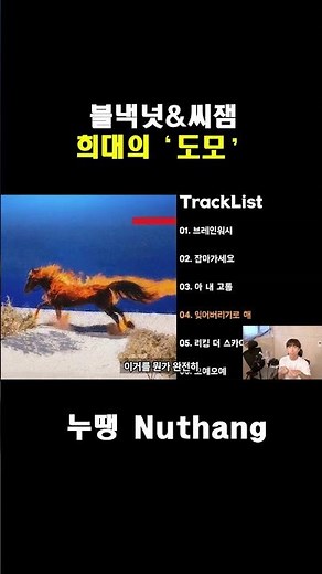 블랙넛&씨잼이 다시 뭉쳤다... '도모' 전곡 리뷰 #누땡